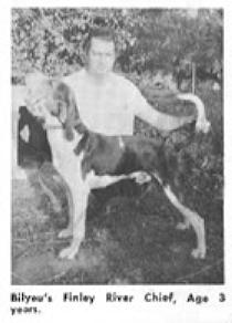 Bilyeu's Finley River Chief