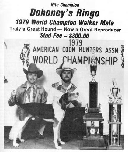 Dohoney's Ringo