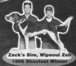 Kiddy's Wipeout Zeb