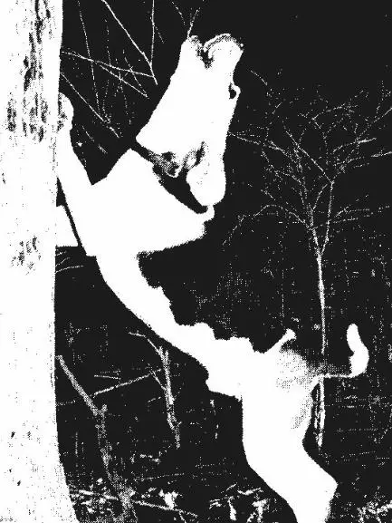 Monroe's Finley River Joe