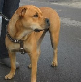 ХЕКЭЙТ