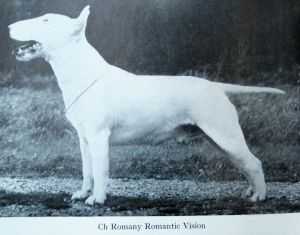 Romany Romantic Vision