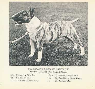 Romany Robin Goodfellow