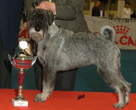 Othillie v. Achterplatzchen