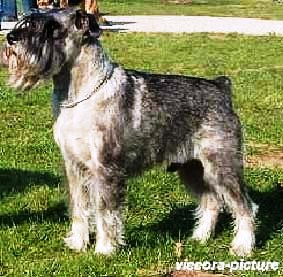 Jasper v. Kreuzbruch