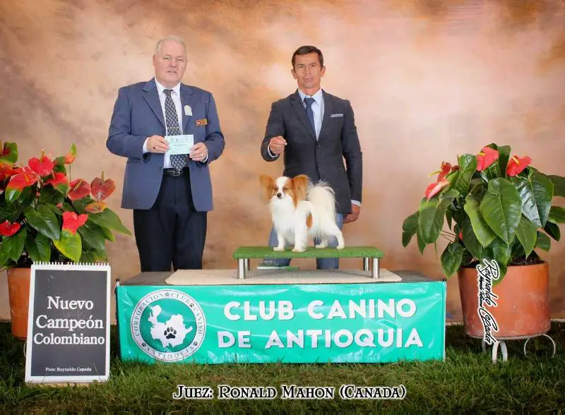 Dante Delescondite Kennel