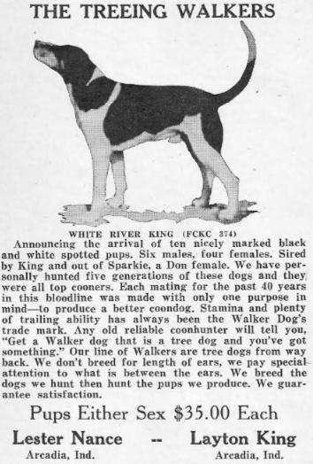 White River King