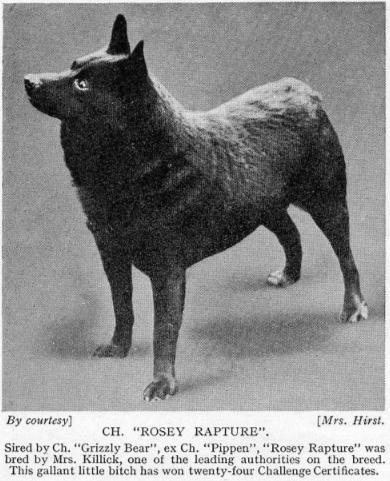 Rosey Rapture (1915)