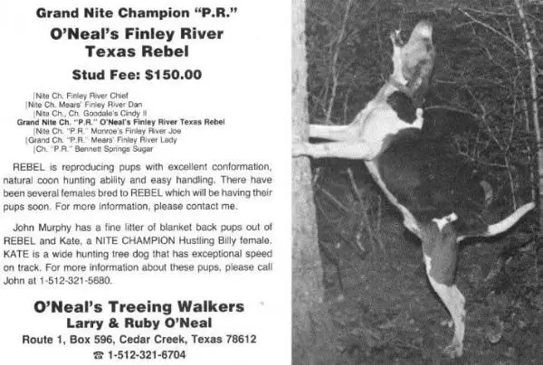 O'Neal's Finley River Texas Rebel