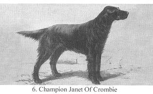 Janet of Crombie