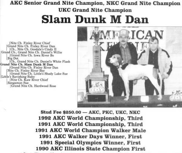 Slam Dunk M Dan