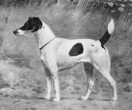 Lady Blacki (b.1905)