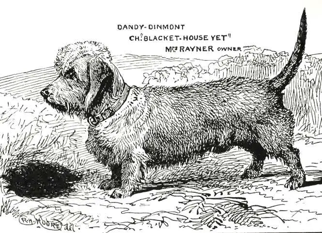 Blacket House Yet (c.1900)