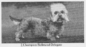 Bellmead Delegate