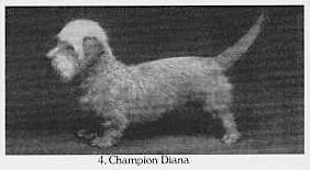 Diana