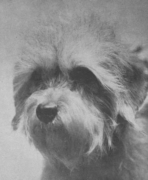 Hilary Judy (c.1934)