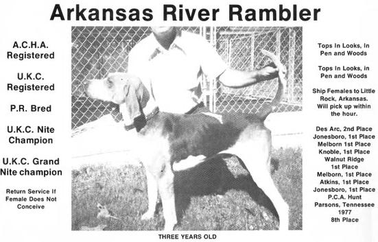 Arkansas River Rambler