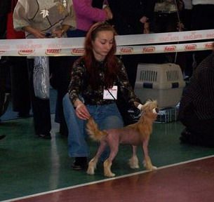 Zholesk Ibica