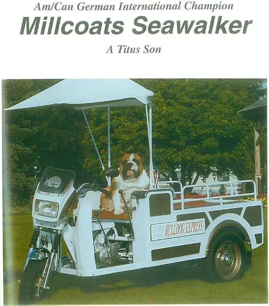 Millcoats SeaWalker