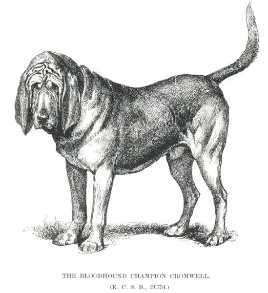 Cromwell (1884) KCSB 19754