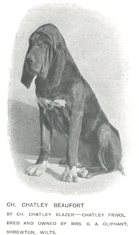 Chatley Beaufort