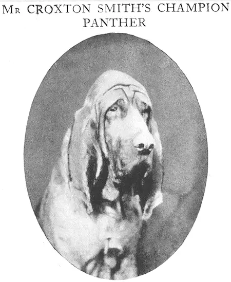 Panther (1897) 395C 1/1898