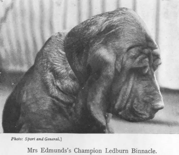 Ledburn Binnacle