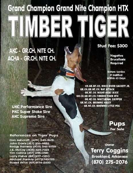 Timber Tiger HTX