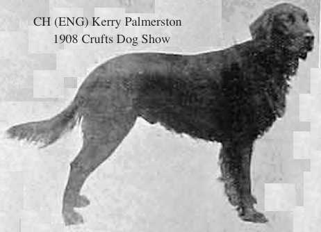 Kerry Palmerston