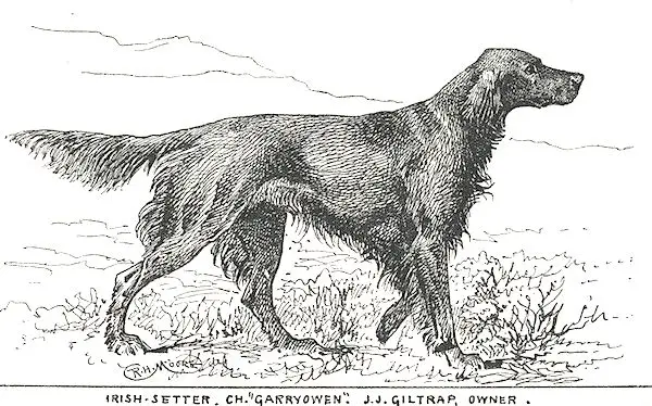 Garryowen (c.1900) [J.J. Giltrap's]