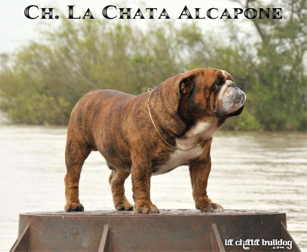 La Chata Alcapone
