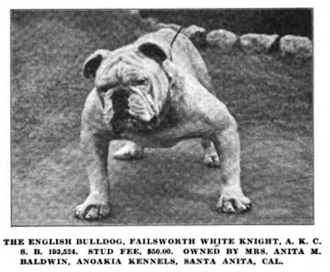 Failsworth White Knight