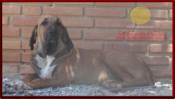 Xena do Itanhandu