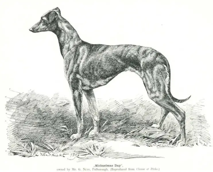 Michaelmas Day (c.1904) [Mr. G. Nutt, Pulborough]
