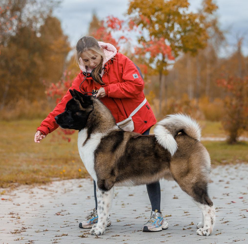 Beautiful Miracle Champion