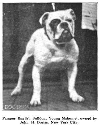 Young Mohamet [John H. Dorian]
