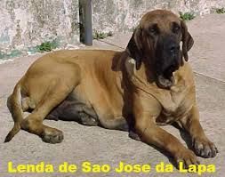 LENDA DE SAO JOSE DA LAPA