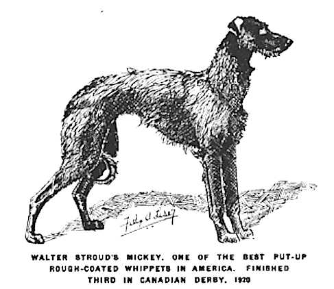 Walter Stroud's Mickey (c.1920)