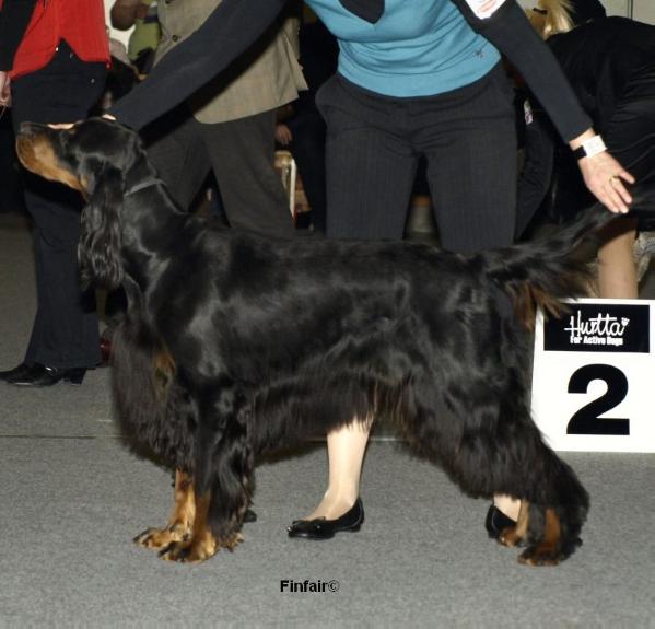 Finfair gold marie