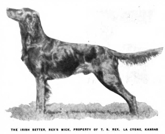 Rex's Mick