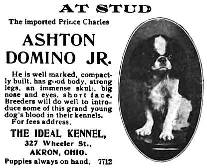Ashton Domino Jr.
