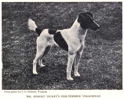 Velocipede [Mr Robert Vicary's]