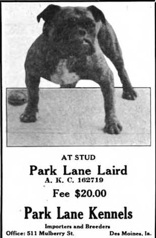 Park Lane Laird 162719