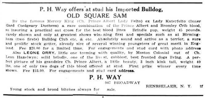 Old Square Sam