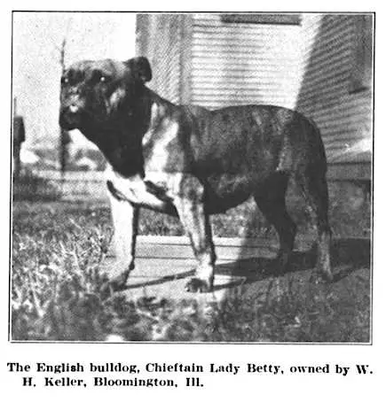 Chieftain Lady Betty