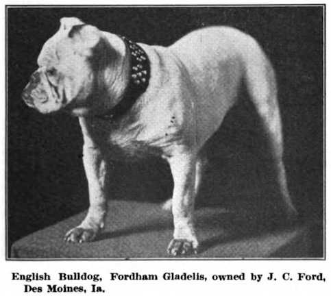 Fordham Gladelis