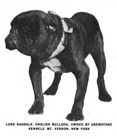 Lord Ragdale