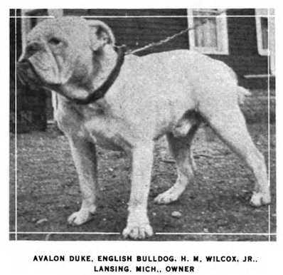 Avalon Duke