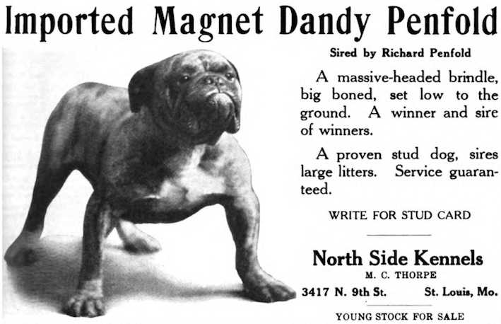 Magnet Dandy Penfold