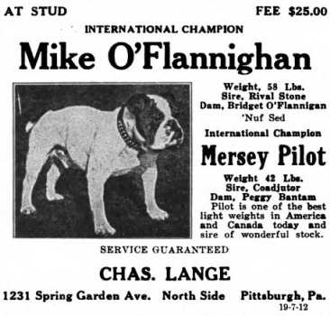 Mike O'Flannighan